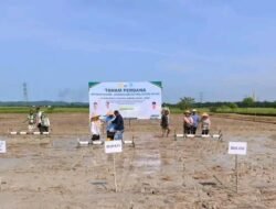Tanam Perdana PM-AAS di Rawa Medang, Pemkab Tanjab Barat Percepat Modernisasi Pertanian dan Perkuat Ketahanan Pangan