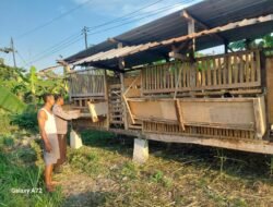 Bhabinkamtibmas Bangil Pantau Budidaya Ternak Kambing di Latek, Dukung Program P2B Asta Cita