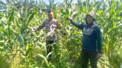 Polsek Gedangan Masifkan Pendampingan Program Swasembada Pangan
