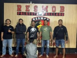 Warga Kulonprogo Tertipu Jual Beli Sapi Pelaku Berhasil Dibekuk Di Magelang