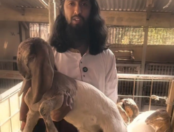 Jual Kambing Sambil Berdakwah, Warga Kota Batu Mendadak Viral di TikTok dan Instagram