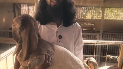Jual Kambing Sambil Berdakwah, Warga Kota Batu Mendadak Viral di TikTok dan Instagram