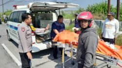 Unit Gakkum Satlantas Polres Lamongan Tangani Kecelakaan Maut di Kalitengah, Pemotor Tewas Saat Hendak Salip Truk Dump