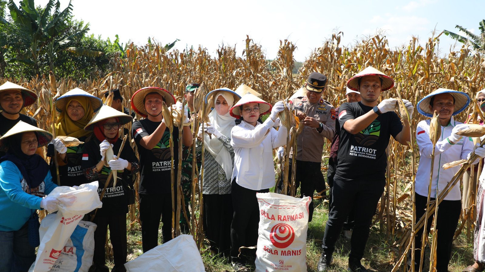 Wali Kota Agustina Apresiasi GP Ansor, Panen Raya Jagung Jadi Bukti Pemuda Mampu Perkuat Ketahanan Pangan