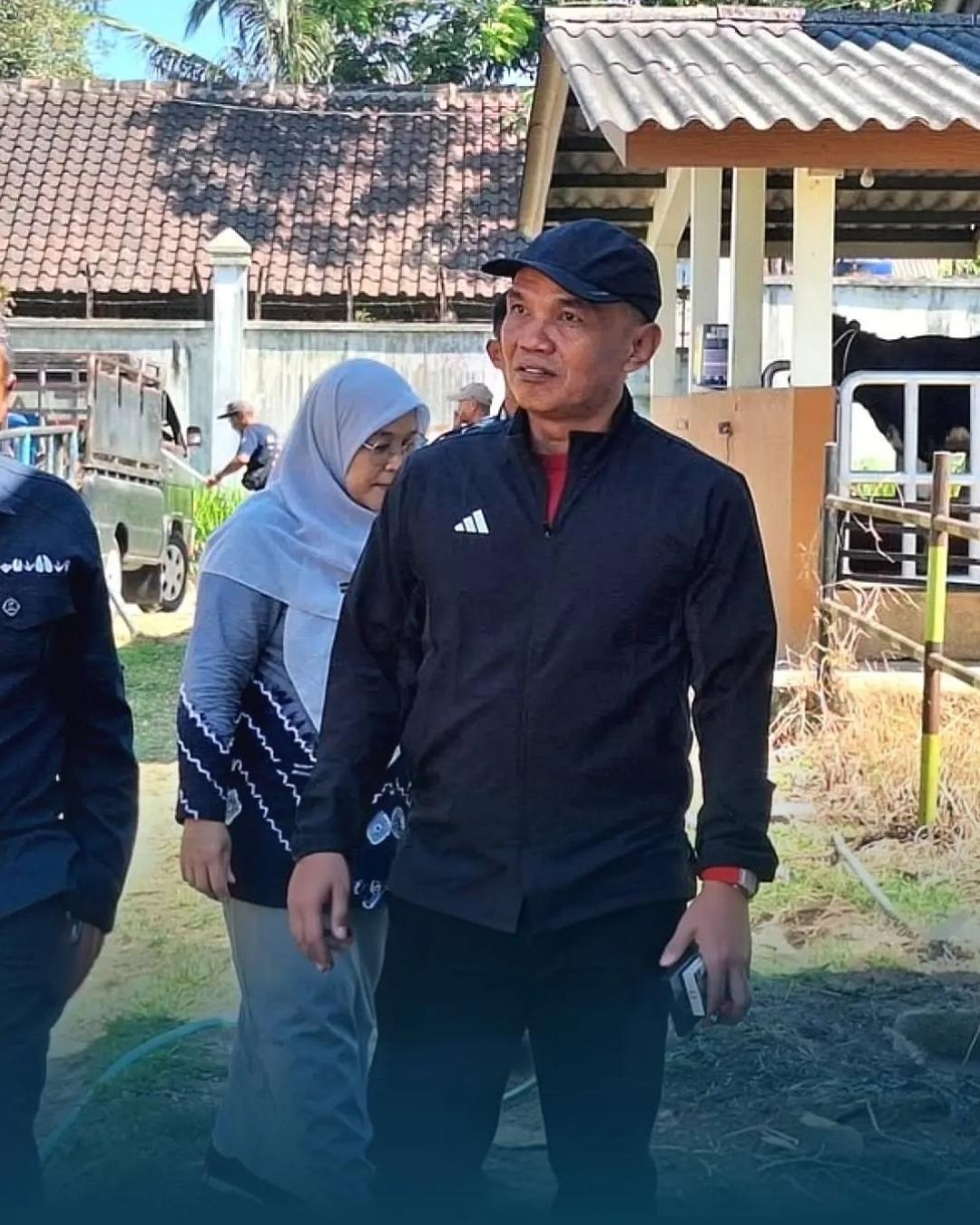 Jawa Tengah Menjadi Sentral Penyangga Ternak Ayam