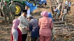 Presiden Tinjau Panen Tebu di Malang, Petani Harapkan Dukungan Pertanian Terus Berlanjut