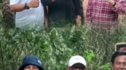 Wabup Murison Tinjau Pemeliharaan Jalan Selampaungâ€“Masgo, Pastikan Infrastruktur Berkualitas untuk Masyarakat
