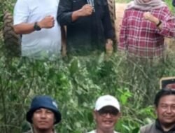 Wabup Murison Tinjau Pemeliharaan Jalan Selampaungâ€“Masgo, Pastikan Infrastruktur Berkualitas untuk Masyarakat