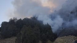 Karhutla Bromo Hari Keenam, Api Masih Terlihat di Probolinggo-Pasuruan, Jemplang Malang Tetap Aman