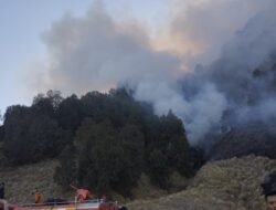 Karhutla Bromo Hari Keenam, Api Masih Terlihat di Probolinggo-Pasuruan, Jemplang Malang Tetap Aman