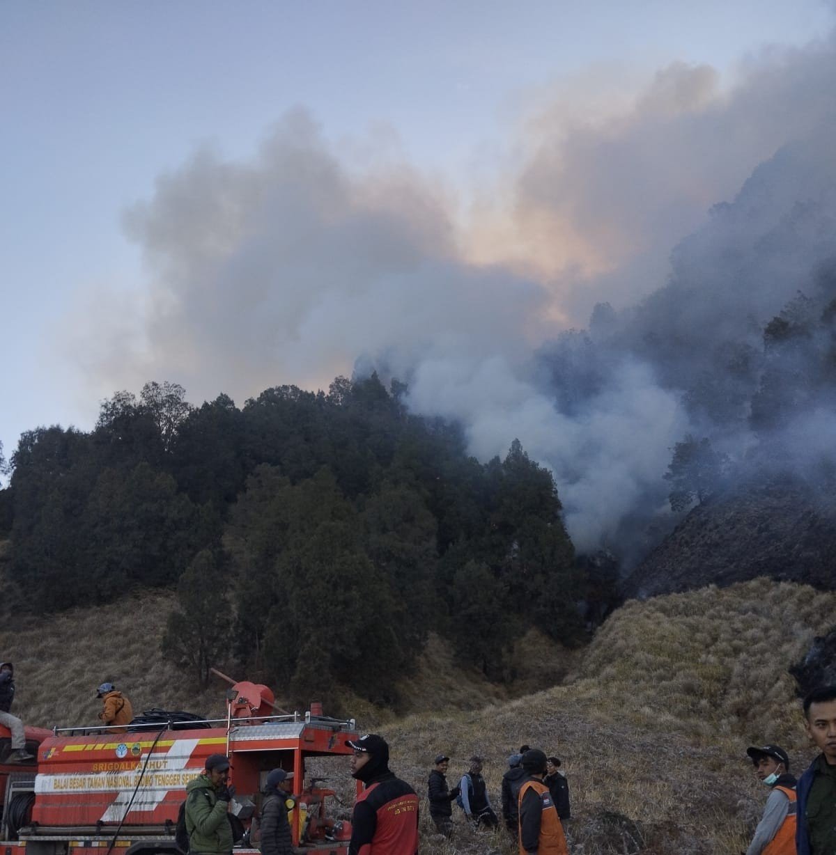 Karhutla Bromo Hari Keenam, Api Masih Terlihat di Probolinggo-Pasuruan, Jemplang Malang Tetap Aman