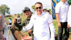Wako Alfin Ikuti Penanaman Bawang Putih Serentak Secara Nasional