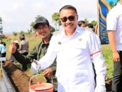 Wako Alfin Ikuti Penanaman Bawang Putih Serentak Secara Nasional
