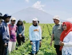 Bupati Kerinci Tinjau Balai Benih Ikan (BBI) Guna Dorong Potensi Pertanian dan Perikanan Daerah