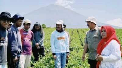 Bupati Kerinci Tinjau Balai Benih Ikan (BBI) Guna Dorong Potensi Pertanian dan Perikanan Daerah